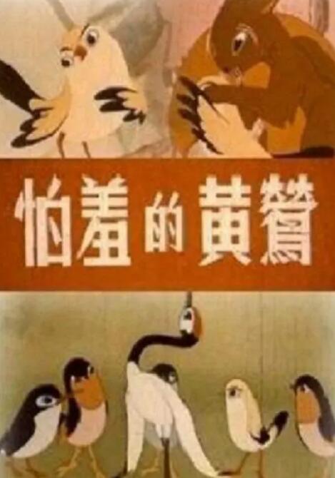 日本高清无打码免费视频网站