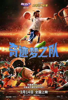 香蕉国产人午夜视频在线观看