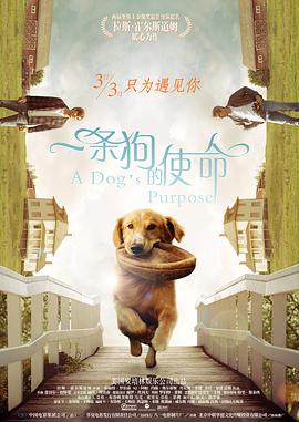 国产精品亚洲αv天堂2021