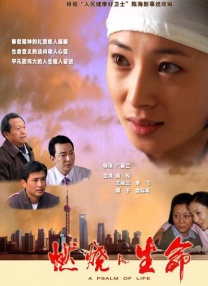 丰满少妇大力进入av亚洲葵司