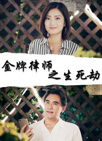 胡作非和少霞的小说