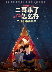 国产v片在线观看