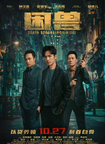 96精品视频在线观看播放