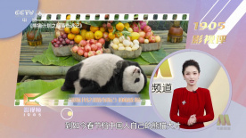 桃乃木 在线观看