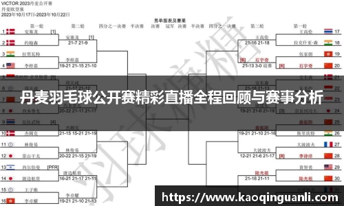 丹麦羽毛球公开赛精彩直播全程回顾与赛事分析